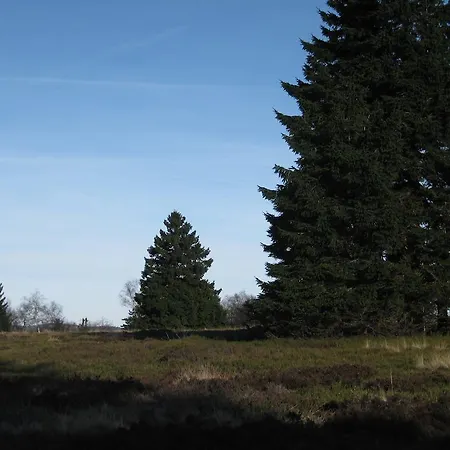 David Lejlighed Winterberg
