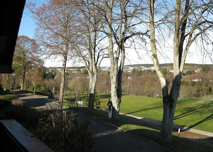 Апартаменты David *