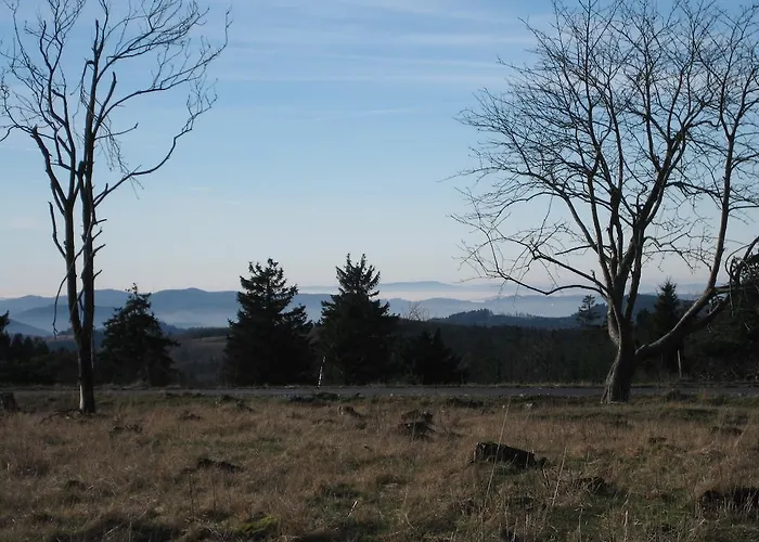 David * Винтерберг