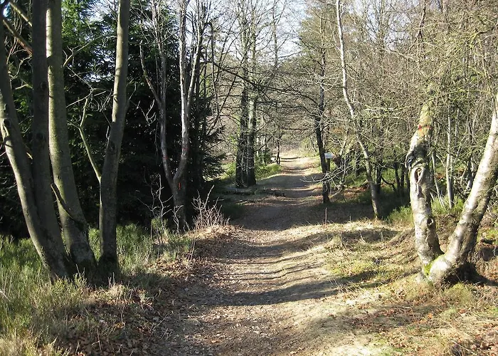 Апартаменты David