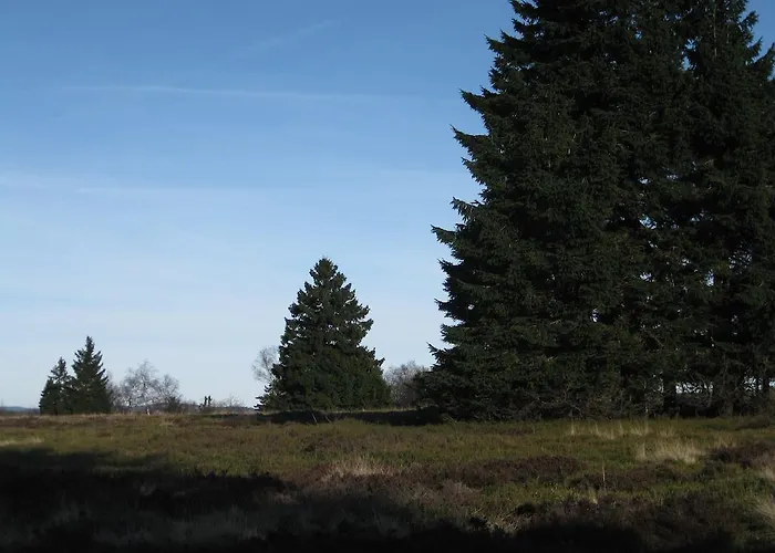 David Апартаменты Винтерберг