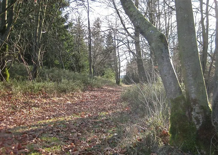 David Апартаменты